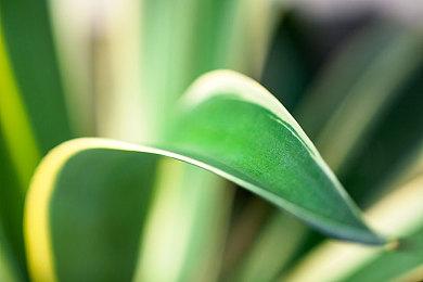 后末日《远方：涌变暗潮》3月1日发售 登陆全平台